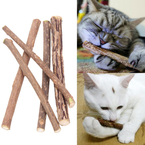 5/10/15/20pcs Pure Natural Catnip Pet Cat Toy Molar Toothpaste Branch Cleaning Teeth Silvervine Cat Snacks Sticks Pet Supplies