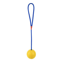 Load image into Gallery viewer, Rubber Ball On Rope For Reward Fetch Play Dog Toys Bite-resistant Dog Toy Chewing Pet Toys For Training Cleaning Teeth