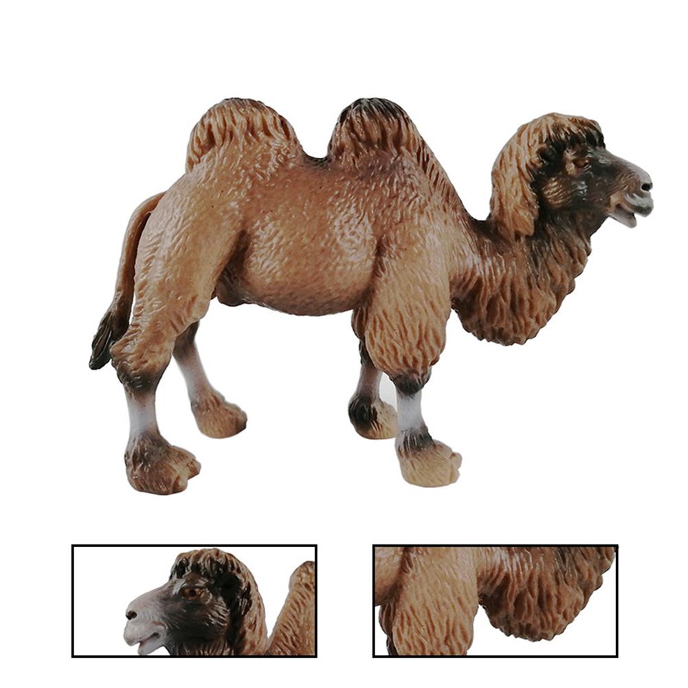 Realistic Bactrian Camels Animal Figurine Hand Painted Model Kids Education Toy For Kids Gift