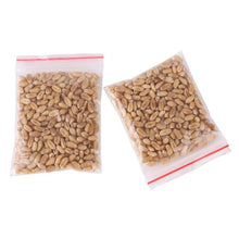 Load image into Gallery viewer, 300pcs/Pack Cat Grass 100% High Quality And High Survival Rate Natural Cat Grass Cat Hairball Control Toy