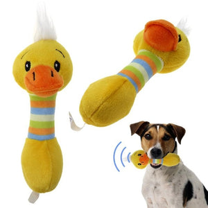 ANSINPARK pet plush dog toys cute pet dog chew toys animals will dog cat puppy toy toot squirrel dog chew squeak M888