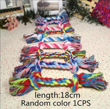 Load image into Gallery viewer, ANSINPARK pet plush dog toys cute pet dog chew toys animals will dog cat puppy toy toot squirrel dog chew squeak M888